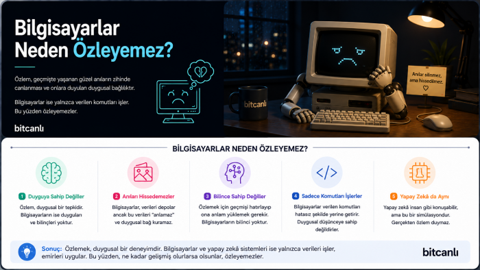 Bilgisayarlar Neden Özleyemez?